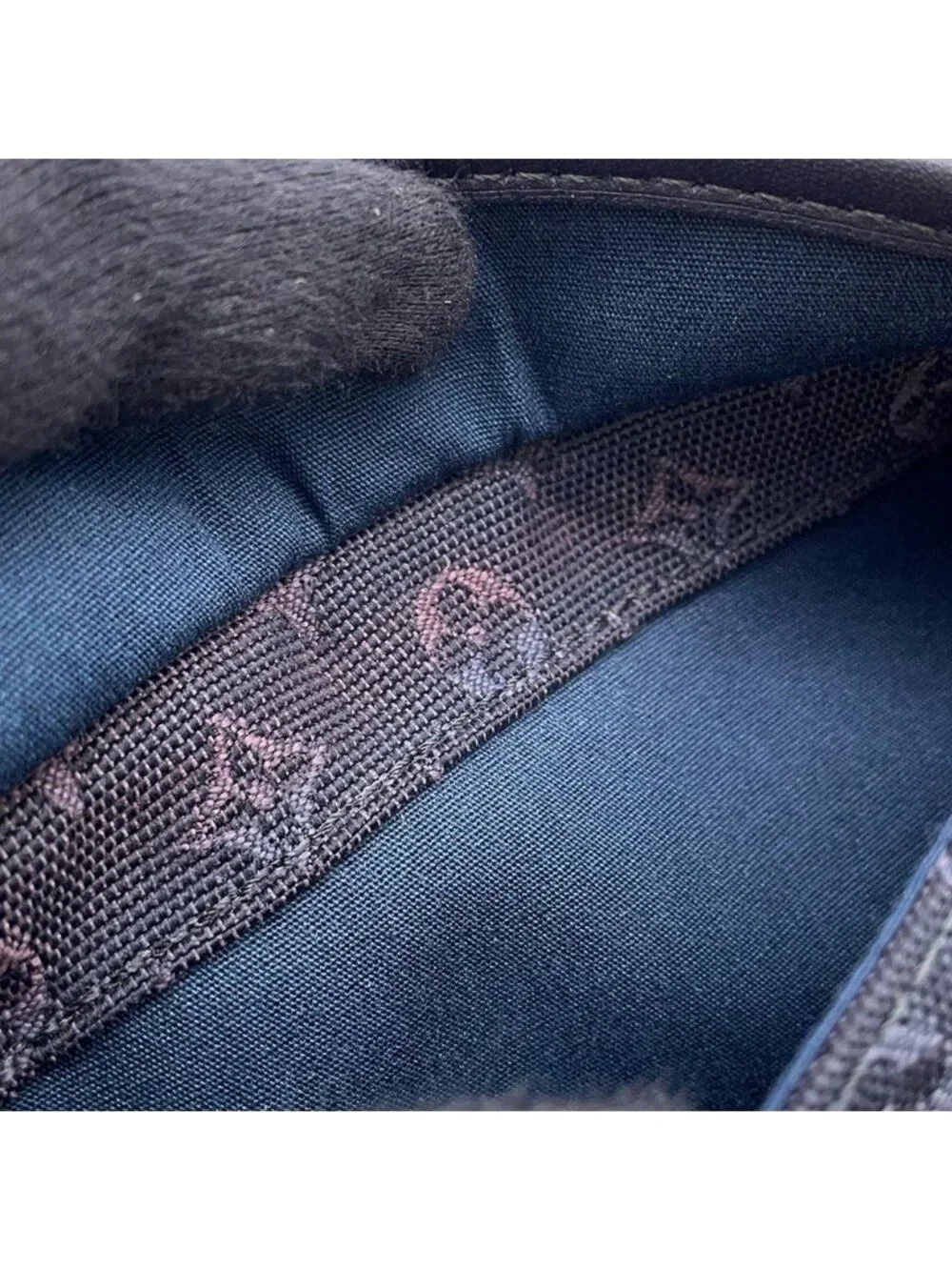Louis Vuitton Pouch Monogram Mini Anthophy M Case